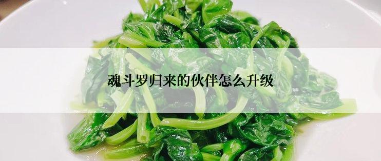 魂斗罗归来的伙伴怎么升级