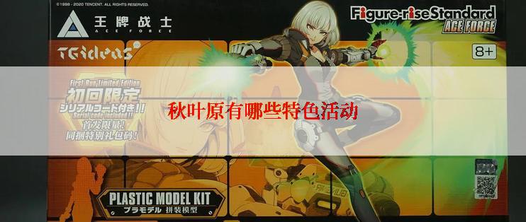 秋叶原有哪些特色活动