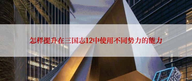 怎样提升在三国志12中使用不同势力的能力