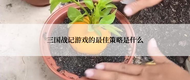 三国战记游戏的最佳策略是什么