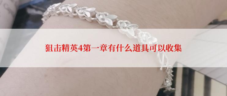 狙击精英4第一章有什么道具可以收集