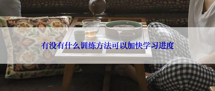 有没有什么训练方法可以加快学习进度
