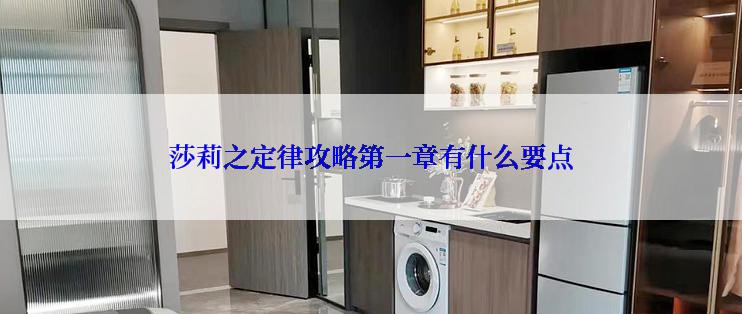 莎莉之定律攻略第一章有什么要点