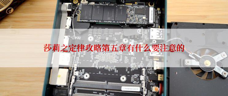 莎莉之定律攻略第五章有什么要注意的