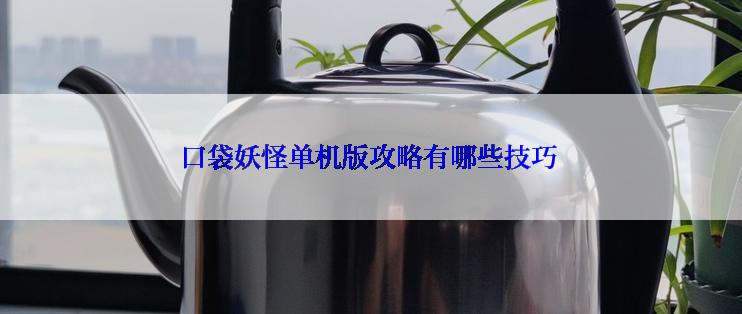 口袋妖怪单机版攻略有哪些技巧