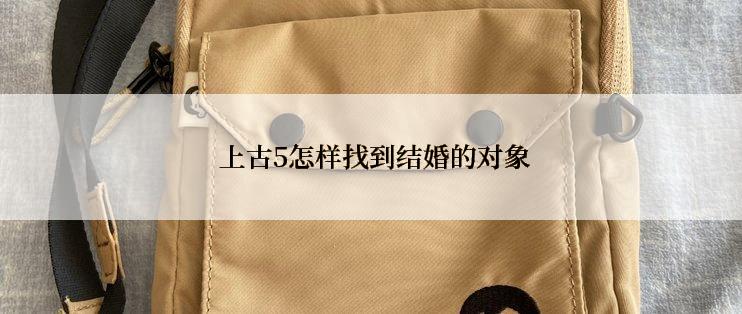  上古5怎样找到结婚的对象