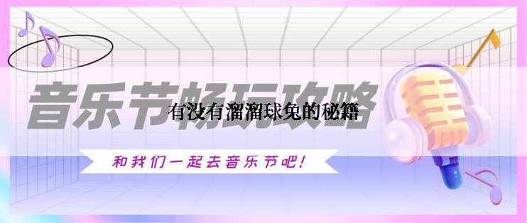 有没有溜溜球兔的秘籍