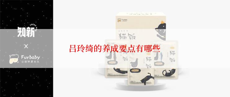 吕玲绮的养成要点有哪些