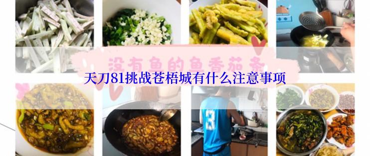 天刀81挑战苍梧城有什么注意事项