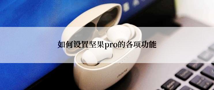 如何设置坚果pro的各项功能