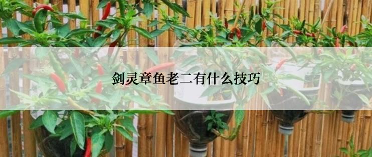 剑灵章鱼老二有什么技巧