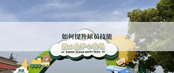 如何提升球员技能
