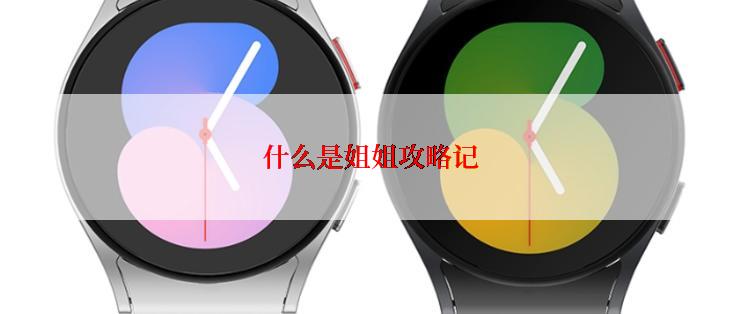 什么是姐姐攻略记