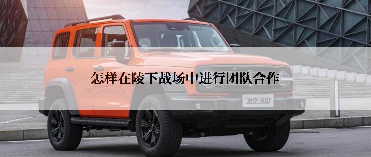 怎样在陵下战场中进行团队合作