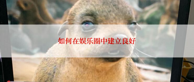 如何在娱乐圈中建立良好