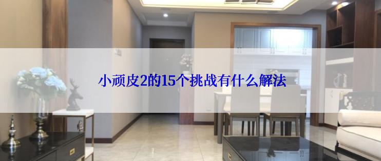  小顽皮2的15个挑战有什么解法