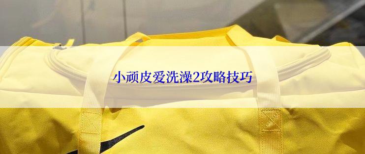 小顽皮爱洗澡2攻略技巧