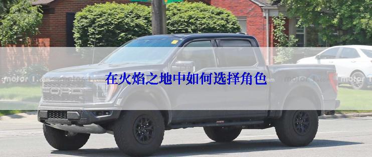 在火焰之地中如何选择角色