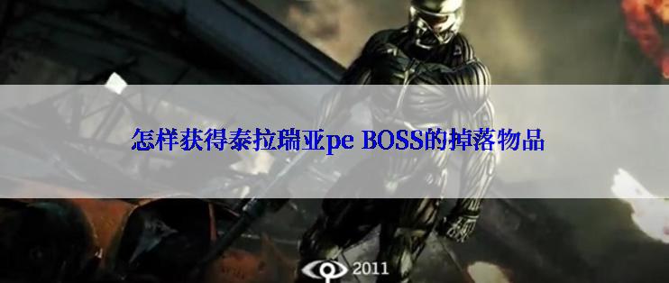  怎样获得泰拉瑞亚pe BOSS的掉落物品