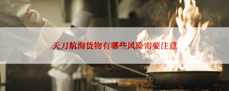 天刀航海货物有哪些风险需要注意