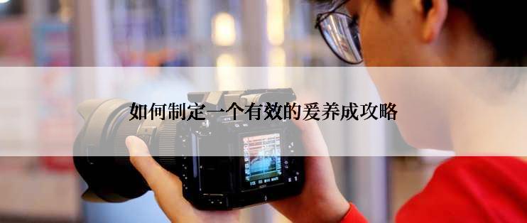 如何制定一个有效的爰养成攻略