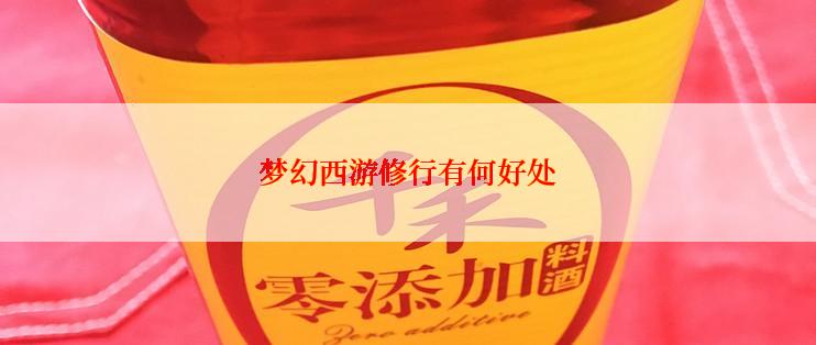 梦幻西游修行有何好处