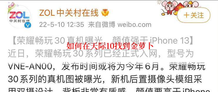  如何在天际10找到金萝卜