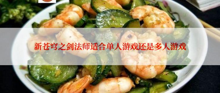 新苍穹之剑法师适合单人游戏还是多人游戏