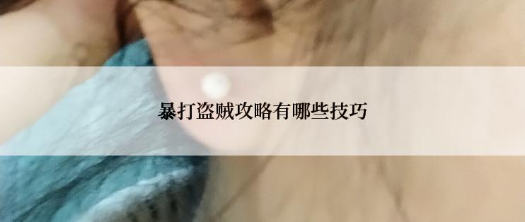 暴打盗贼攻略有哪些技巧