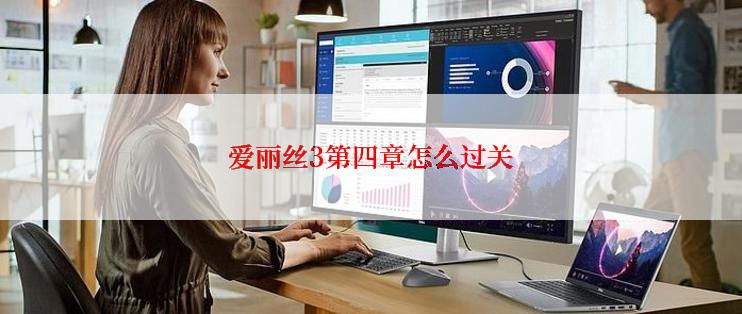 爱丽丝3第四章怎么过关