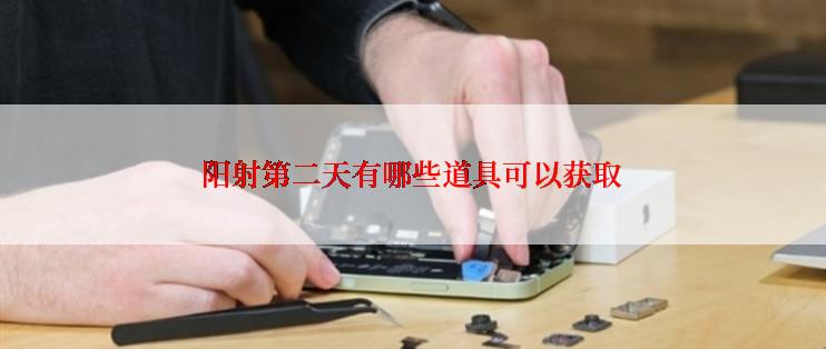 阳射第二天有哪些道具可以获取