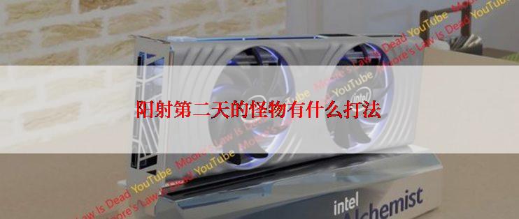 阳射第二天的怪物有什么打法