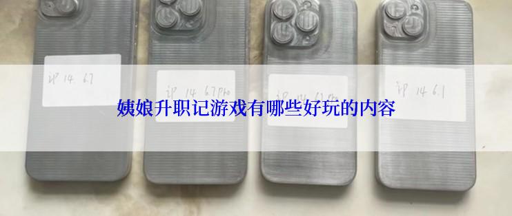 姨娘升职记游戏有哪些好玩的内容