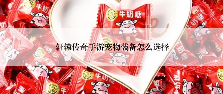  轩辕传奇手游宠物装备怎么选择