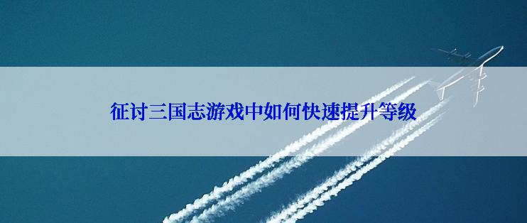 征讨三国志游戏中如何快速提升等级