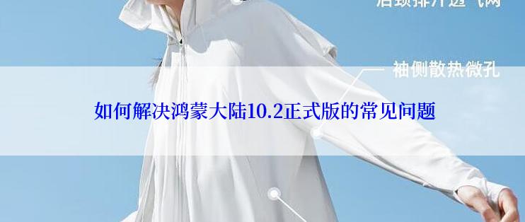  如何解决鸿蒙大陆10.2正式版的常见问题