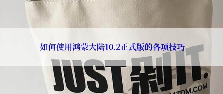  如何使用鸿蒙大陆10.2正式版的各项技巧