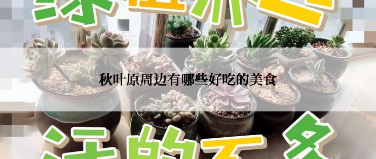 秋叶原周边有哪些好吃的美食