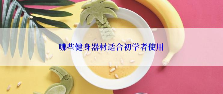 哪些健身器材适合初学者使用
