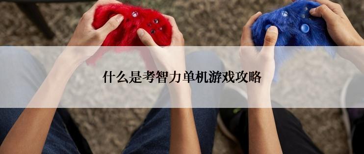 什么是考智力单机游戏攻略