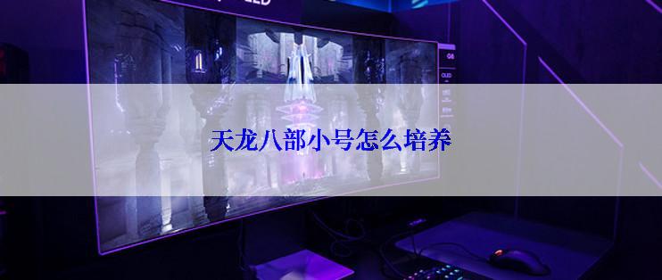 天龙八部小号怎么培养