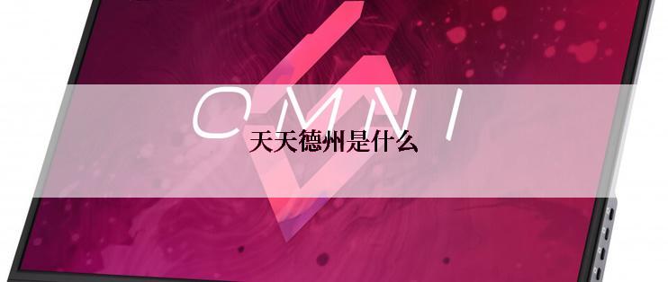 天天德州是什么