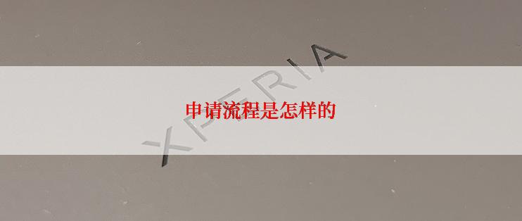 申请流程是怎样的