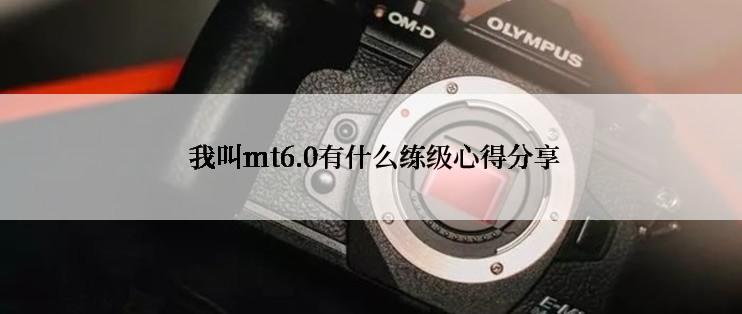  我叫mt6.0有什么练级心得分享