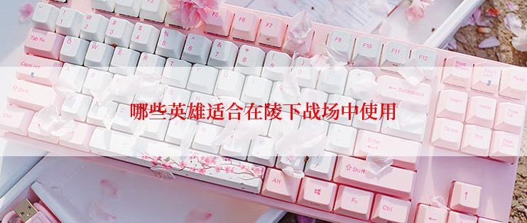 哪些英雄适合在陵下战场中使用