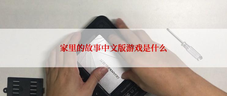 家里的故事中文版游戏是什么