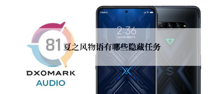 夏之风物语有哪些隐藏任务