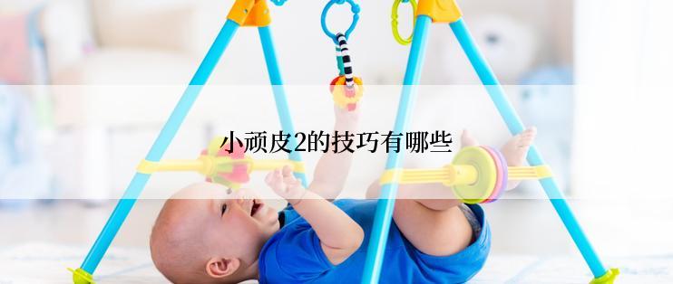 小顽皮2的技巧有哪些