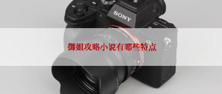 御姐攻略小说有哪些特点