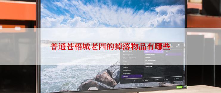 普通苍梧城老四的掉落物品有哪些